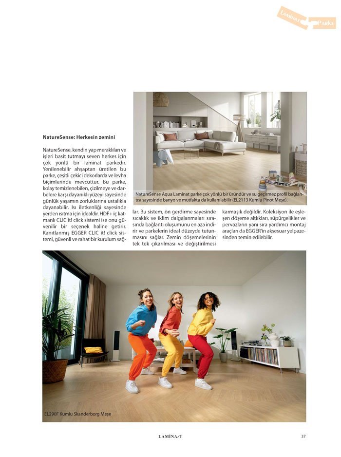 Laminart Dergisi Summary Dossier
