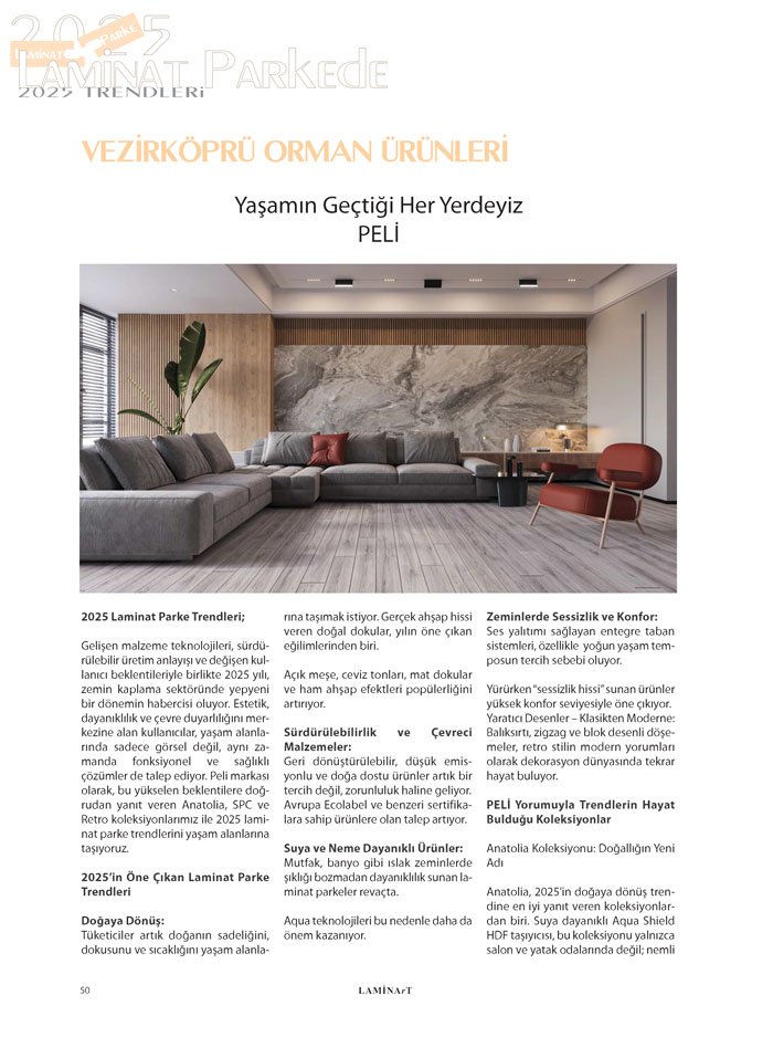Laminart Dergisi Dosya: Laminat Parkede 2025 Trendleri